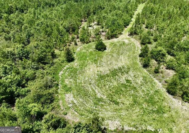 5th image of 0 W River Road, Rhine, GA 31077 | MLS# 10792658
