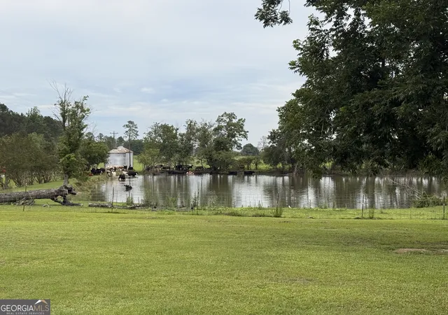 73rd image of 3349 B Scotland Rd, Alamo, GA 30411 | MLS# 10797425