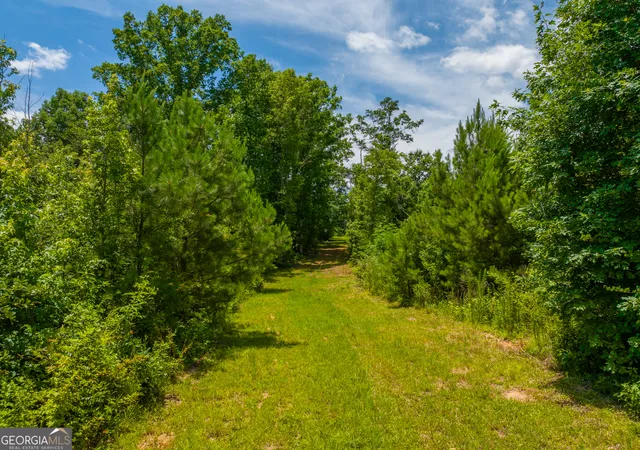 1st image of 293 Acres Cochran Rd, Madison, GA 30650 | MLS# 10794795