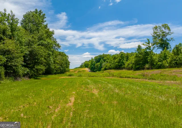 2nd image of 293 Acres Cochran Rd, Madison, GA 30650 | MLS# 10794795
