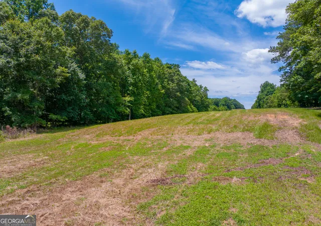 3rd image of 293 Acres Cochran Rd, Madison, GA 30650 | MLS# 10794795