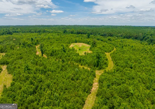 4th image of 293 Acres Cochran Rd, Madison, GA 30650 | MLS# 10794795