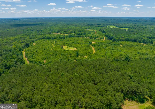 5th image of 293 Acres Cochran Rd, Madison, GA 30650 | MLS# 10794795