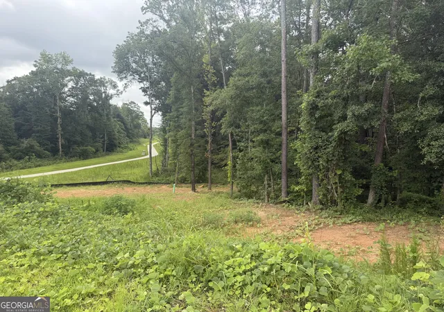 Land for sale at 1680 Kilcrease Rd, Bethlehem, GA 30620 | MLS# 10809678