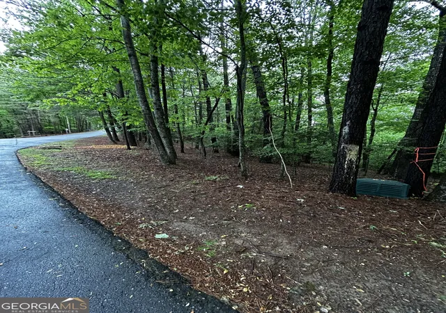 1st image of 108 Acres 00 Lazy River Ln, Ellijay, GA 30536 | MLS# 10760899
