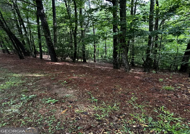 2nd image of 108 Acres 00 Lazy River Ln, Ellijay, GA 30536 | MLS# 10760899
