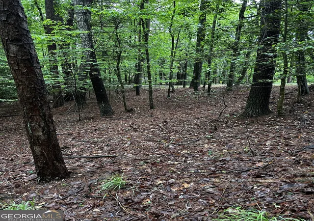 Photo 3 of Land for sale at 108 Acres 00 Lazy River Ln, Ellijay, GA 30540 | MLS# 10760899 | Listing updated on 2026-08-31