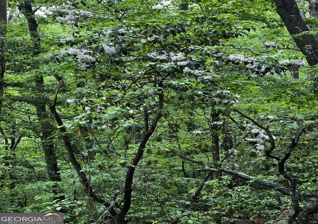 Photo 3 of Land for sale at 108 Acres 00 Lazy River Ln, Ellijay, GA 30540 | MLS# 10760899 | Listing updated on 2026-08-31