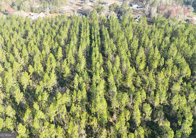 5th image of 0 Robin Lane, Folkston, GA 31537 | MLS# 10699454
