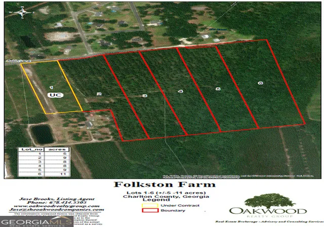 8th image of 0 Robin Lane, Folkston, GA 31537 | MLS# 10699454