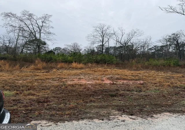 Photo 3 of Land for sale at 874 Forrester Cemetery Rd, Covington, GA 30014 | MLS# 10699793 | Listing updated on 2026-06-04