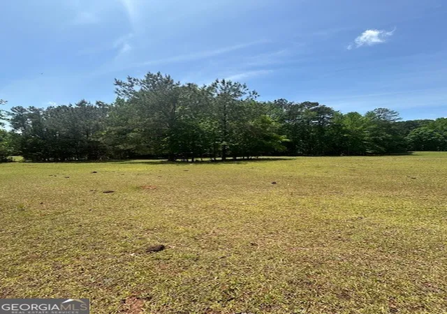 2nd image of 768 S Bethany Rd, Mcdonough, GA 30252 | MLS# 10754060