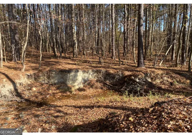 Photo 23 of Land for sale at 0 Buffington Rd #REAR, South Fulton, GA 30291 | MLS# 10639490 | Listing updated on 2026-08-02