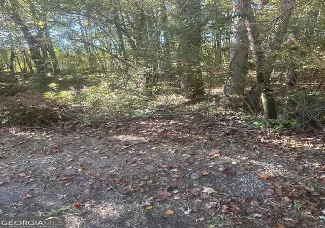 Photo 3 of Land for sale at 0 Buffington Rd #REAR, South Fulton, GA 30291 | MLS# 10639490 | Listing updated on 2026-08-02