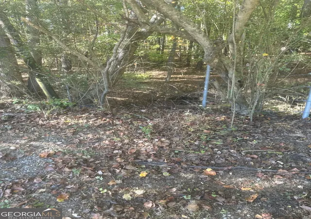 Photo 4 of Land for sale at 0 Buffington Rd #REAR, South Fulton, GA 30291 | MLS# 10639490 | Listing updated on 2026-08-02