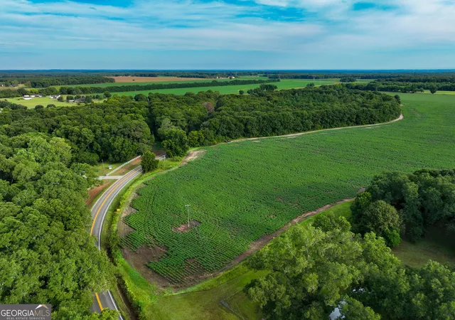 Photo 1 of Land for sale at V/l Hwy 42, Byron, GA 31008 | MLS# 10576098 | Listing updated on 2026-08-24