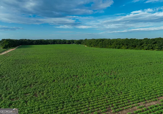 Photo 7 of Land for sale at V/l Hwy 42, Byron, GA 31008 | MLS# 10576098 | Listing updated on 2026-08-24