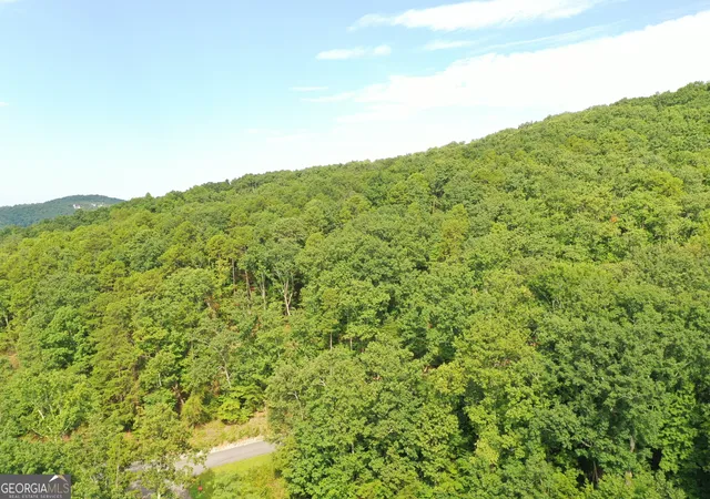 5th image of 0 Mountain Sweet, Clarkesville, GA 30523 | MLS# 10818652