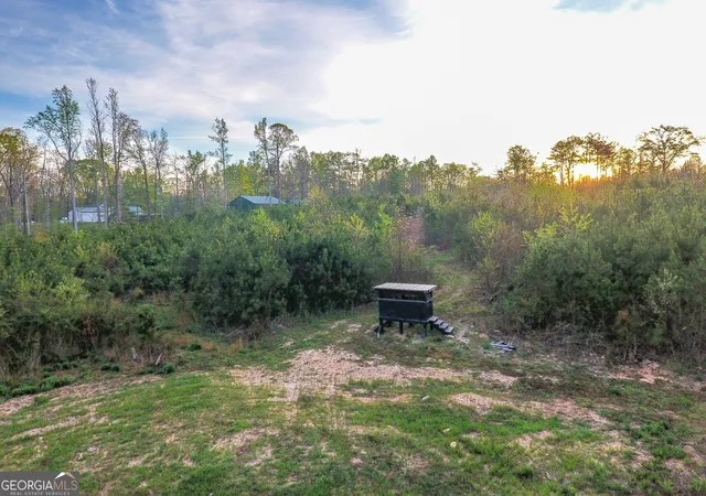 Homes for sale in Waco, GA | 0 Bremen Mt Zion Road, Waco, GA 30182 | MLS# 10797754