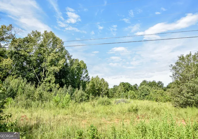 Photo 1 of Sale Pending at 0 Etheridge Mill Rd, Griffin, GA 30224 | MLS# 10831946 | Listing updated on 2026-09-20