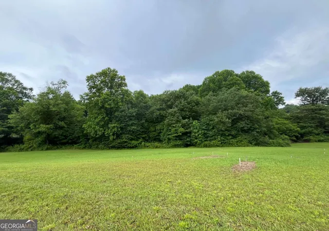 Photo 1 of Land for sale at Lot 117 Owen Glen Dr, Blairsville, GA 30512 | MLS# 10782601 | Listing updated on 2026-07-27