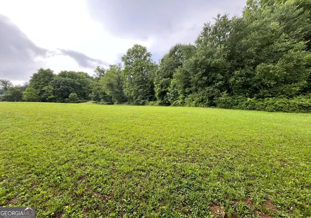Photo 1 of Land for sale at Lot 117 Owen Glen Dr, Blairsville, GA 30512 | MLS# 10782601 | Listing updated on 2026-07-27