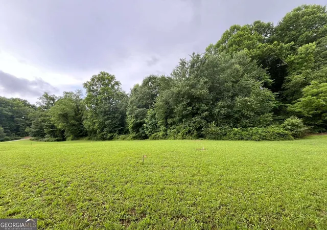 Photo 2 of Land for sale at Lot 117 Owen Glen Dr, Blairsville, GA 30512 | MLS# 10782601 | Listing updated on 2026-07-27
