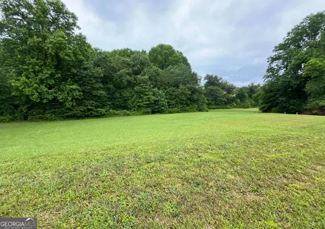 Photo 3 of Land for sale at Lot 117 Owen Glen Dr, Blairsville, GA 30512 | MLS# 10782601 | Listing updated on 2026-07-27