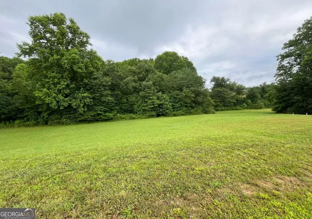 Photo 4 of Land for sale at Lot 117 Owen Glen Dr, Blairsville, GA 30512 | MLS# 10782601 | Listing updated on 2026-07-27