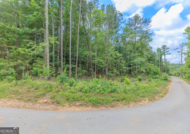 Homes for sale in Chickamauga, GA | 0 Wallaceville Cemetery Rd, Chickamauga, GA 30707 | MLS# 10789064