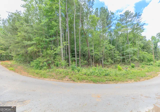 Homes for sale in Chickamauga, GA | 0 Wallaceville Cemetery Rd, Chickamauga, GA 30707 | MLS# 10789064