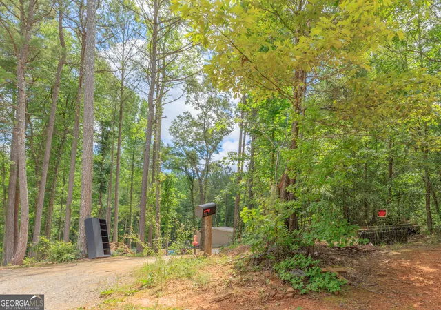 Homes for sale in Chickamauga, GA | 0 Wallaceville Cemetery Rd, Chickamauga, GA 30707 | MLS# 10789064