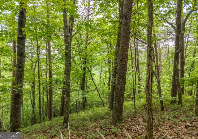 Homes for sale in Ranger, GA | 1331 Birch Ln Ne, Ranger, GA 30734 | MLS# 10775894
