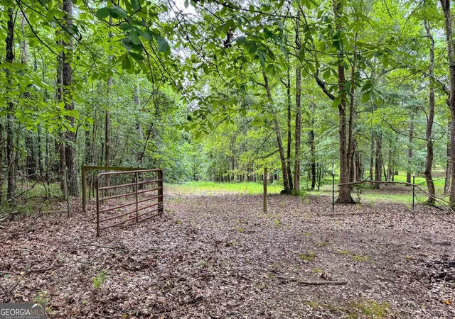 66th image of 316 Biltmore Rd, Mansfield, GA 30055 | MLS# 10811683