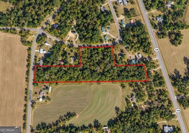 Photo 1 of Land for sale at 993 Acres Park Ave, Reynolds, GA 31076 | MLS# 10875552 | Listing updated on 2026-10-27