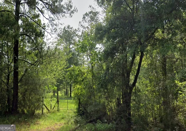 5th image of 0 Jack Williams Road #LOT 35, Wilmer, AL 36587 | MLS# 10787749