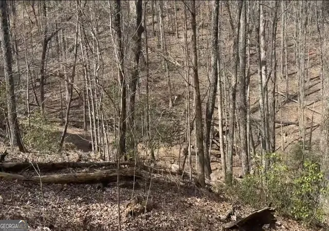 Photo 1 of Land for sale at 0 Valley View Dr, Jasper, GA 30143 | MLS# 10706935 | Listing updated on 2026-10-08