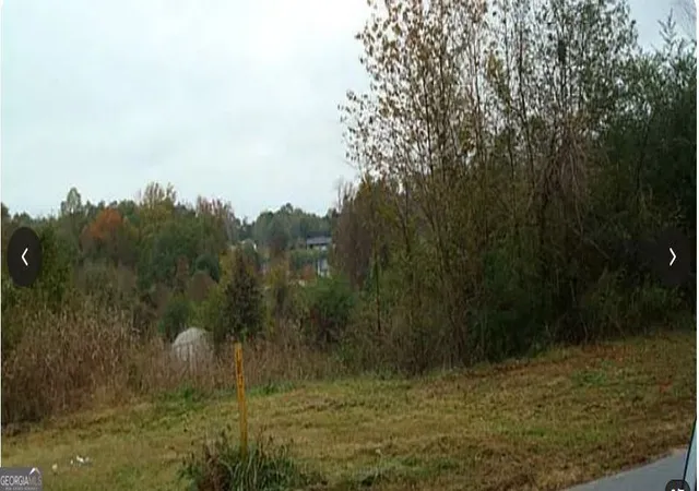 Photo 3 of Land for sale at 0 Dixie Red Ave, Jefferson, GA 30549 | MLS# 10798795 | Listing updated on 2026-07-17