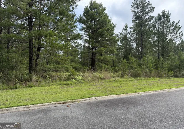 Homes for sale in Waynesville, GA | 059 Big Horse Dr, Waynesville, GA 31566 | MLS# 10774161