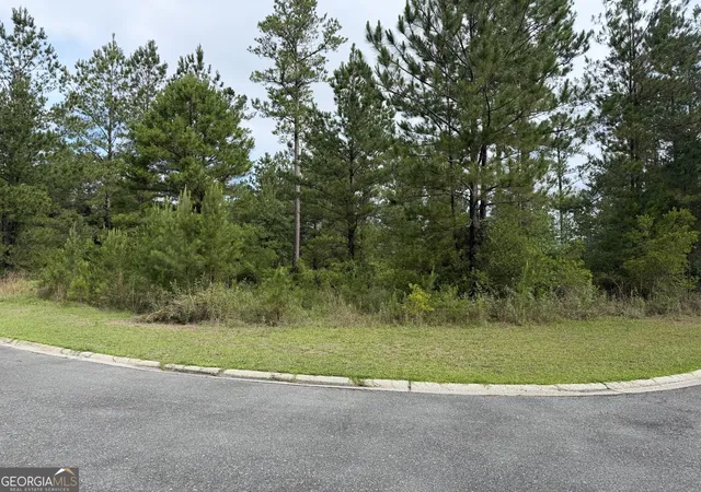 Homes for sale in Waynesville, GA | 059 Big Horse Dr, Waynesville, GA 31566 | MLS# 10774161