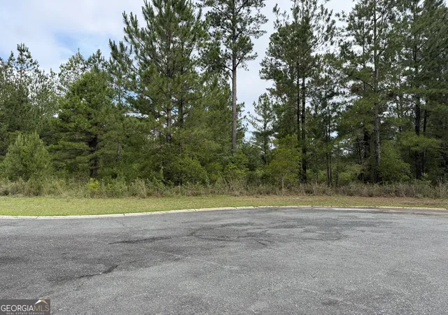 Homes for sale in Waynesville, GA | 059 Big Horse Dr, Waynesville, GA 31566 | MLS# 10774161