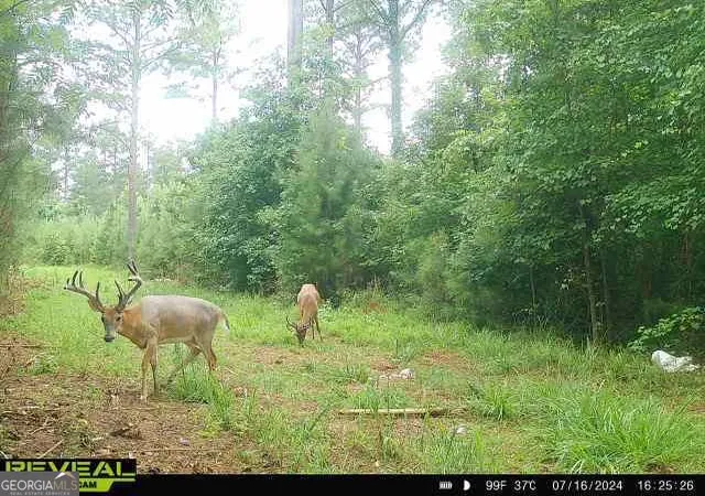 Photo 1 of Land for sale at 0 Seven Islands Rd, Madison, GA 30650 | MLS# 10871747 | Listing updated on 2026-10-27
