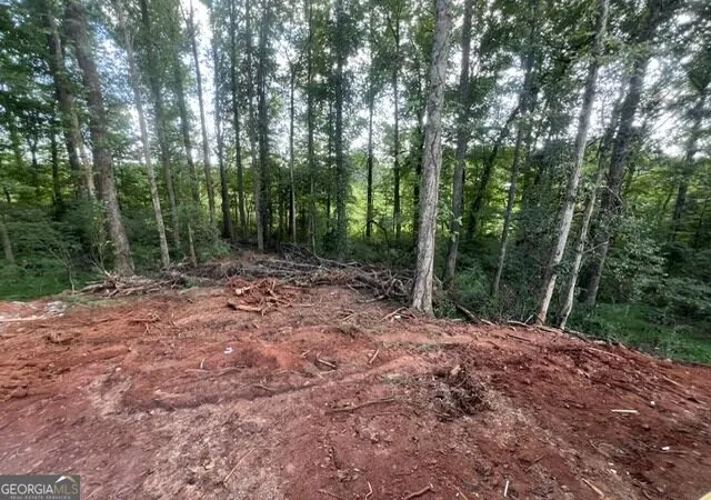 41st image of 318 Stonington Dr, Mount Airy, GA 30563 | MLS# 10779947
