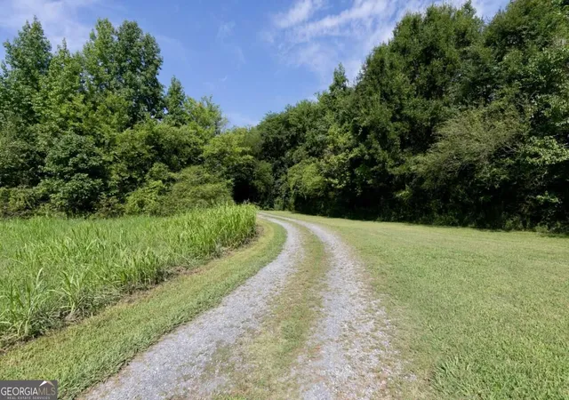 5th image of 538 Spring Pl Rd NE, White, GA 30184 | MLS# 10829411