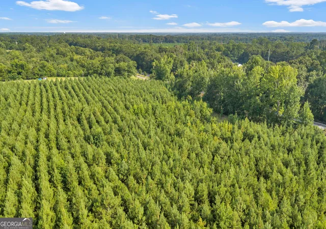 Land for sale at Allen Lot Turkey Creek Rd, Danville, GA 31017 | MLS# 10833526