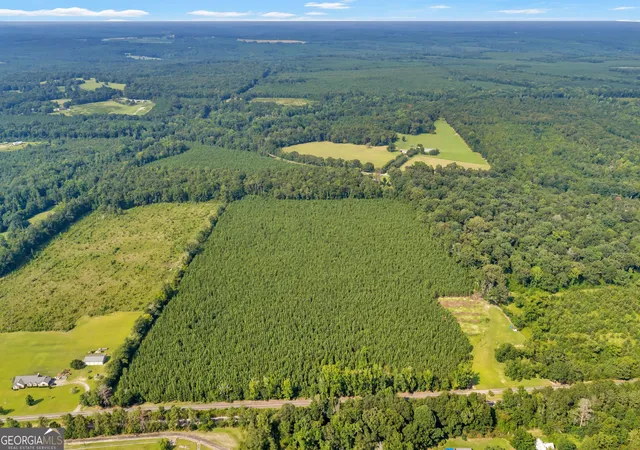 Photo 3 of Land for sale at Allen Lot Turkey Creek Rd, Danville, GA 31017 | MLS# 10833526 | Listing updated on 2026-08-26