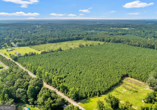 Photo 3 of Land for sale at Allen Lot Turkey Creek Rd, Danville, GA 31017 | MLS# 10833526 | Listing updated on 2026-08-26