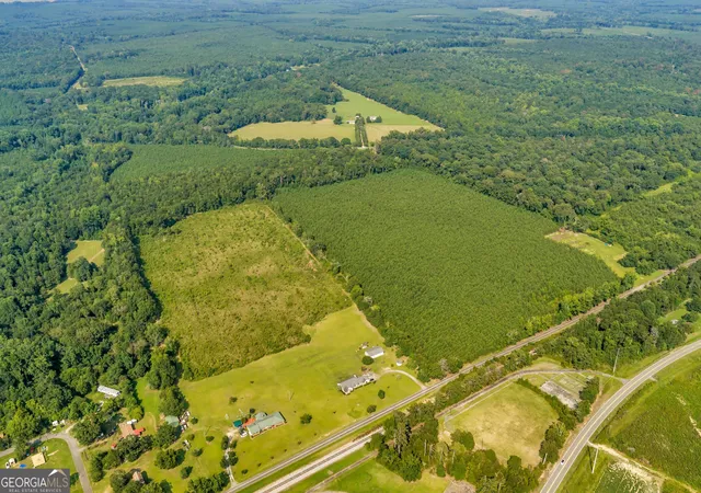 Photo 4 of Land for sale at Allen Lot Turkey Creek Rd, Danville, GA 31017 | MLS# 10833526 | Listing updated on 2026-08-26