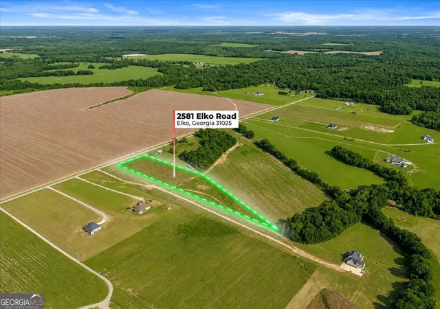 Homes for sale in Elko, GA | 2581 Elko Rd, Elko, GA 31025 | MLS# 10784117