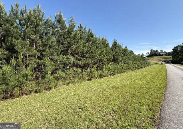 1st image of Lot 228 The Cove At Thirteen Hundred, Blairsville, GA 30512 | MLS# 10505457